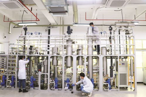 4家代表性省級(jí)重點(diǎn)實(shí)驗(yàn)室及新型研發(fā)機(jī)構(gòu)聚力創(chuàng)新研發(fā) 賦能惠州做強(qiáng) 2 1 現(xiàn)代產(chǎn)業(yè)集群